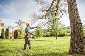 How Our Tree Care Process Works  in  Bronte, TX